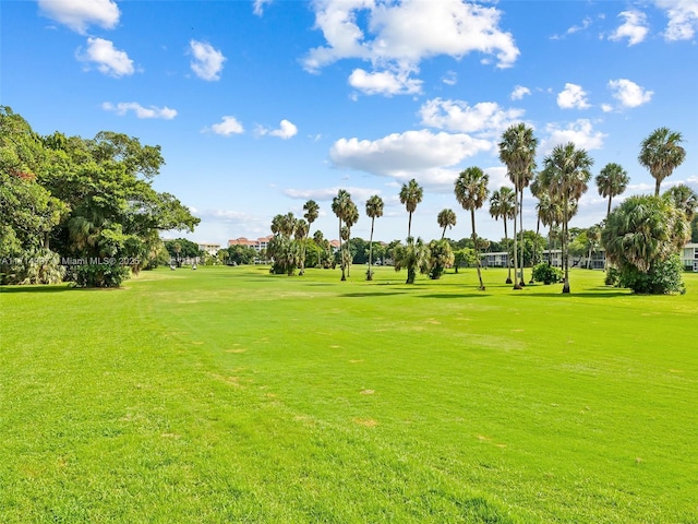 surrounding community featuring a lawn