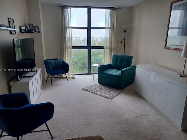 sitting room featuring light carpet