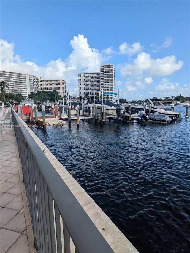 dock area with a water view