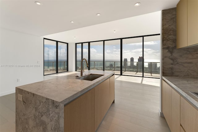 kitchen with floor to ceiling windows, sink, a kitchen island with sink, and a wealth of natural light