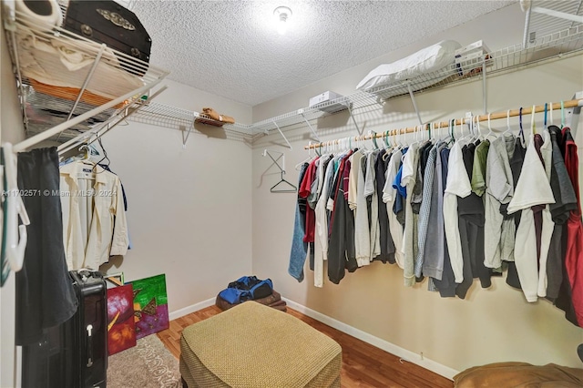 walk in closet featuring wood-type flooring