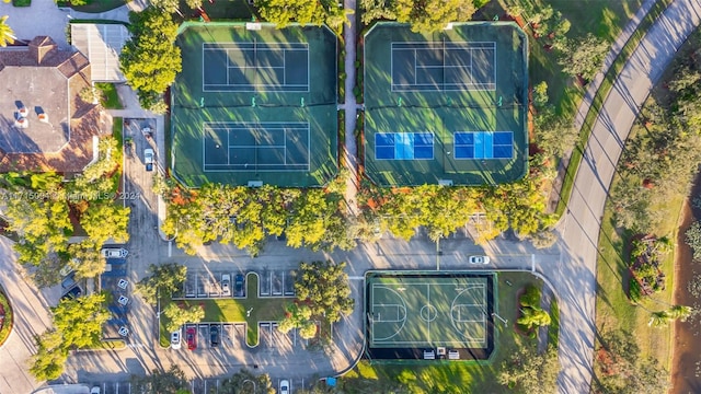 bird's eye view