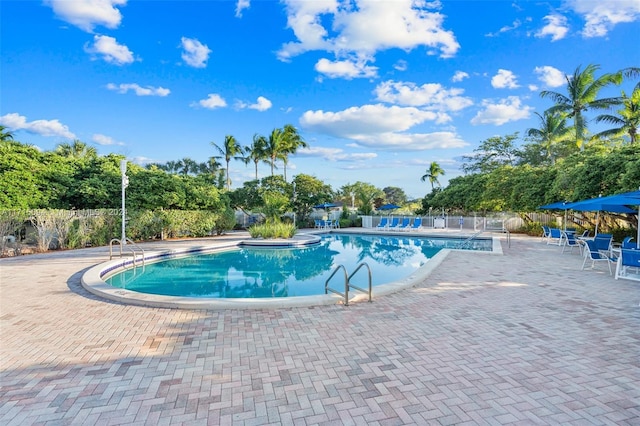 view of pool featuring a patio