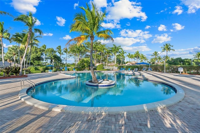 view of pool with a patio