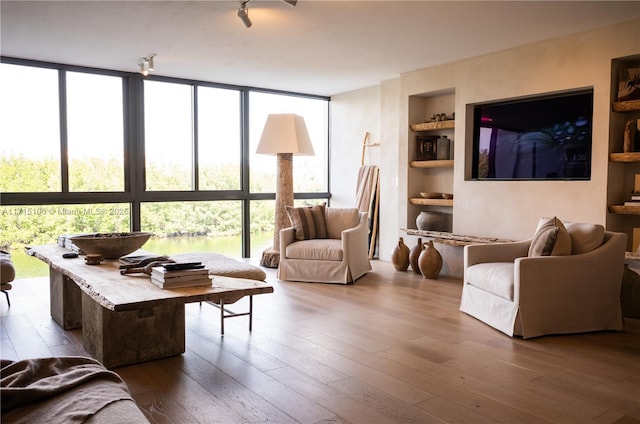 living room with built in shelves, expansive windows, hardwood / wood-style floors, and a healthy amount of sunlight