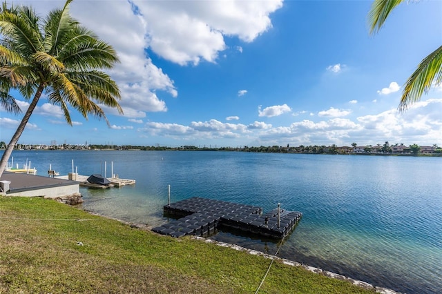 dock area with a water view