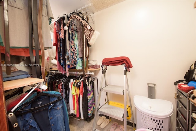 spacious closet with carpet floors