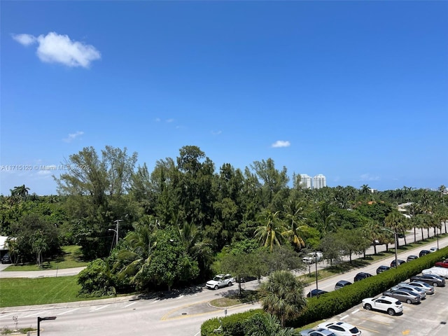 bird's eye view