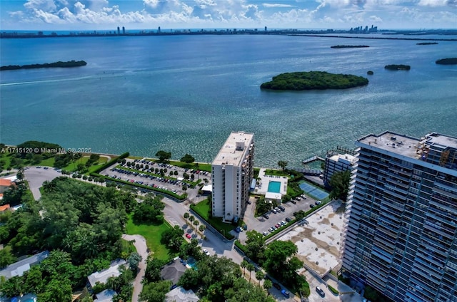 aerial view with a water view