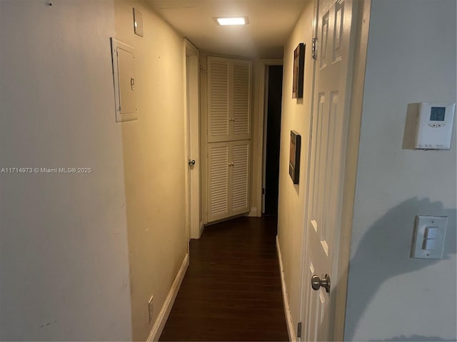 hall featuring electric panel and dark wood-type flooring