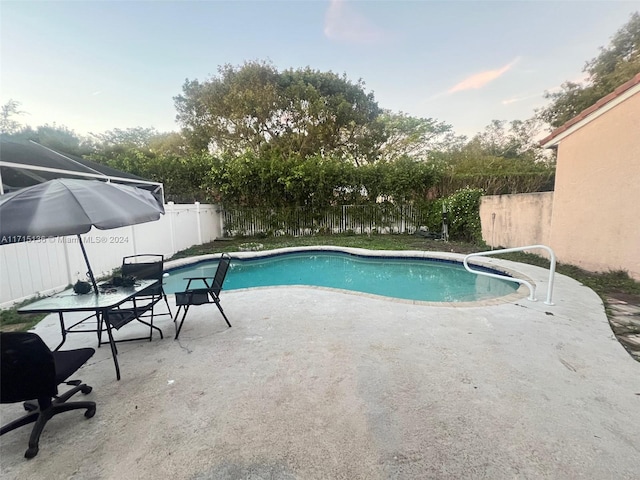 view of pool with a patio