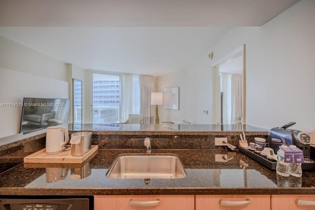 kitchen featuring dishwasher, sink, and dark stone counters