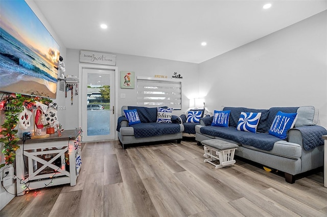 living room with wood-type flooring