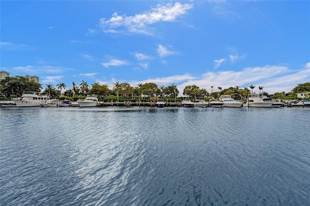 view of water feature featuring a boat dock