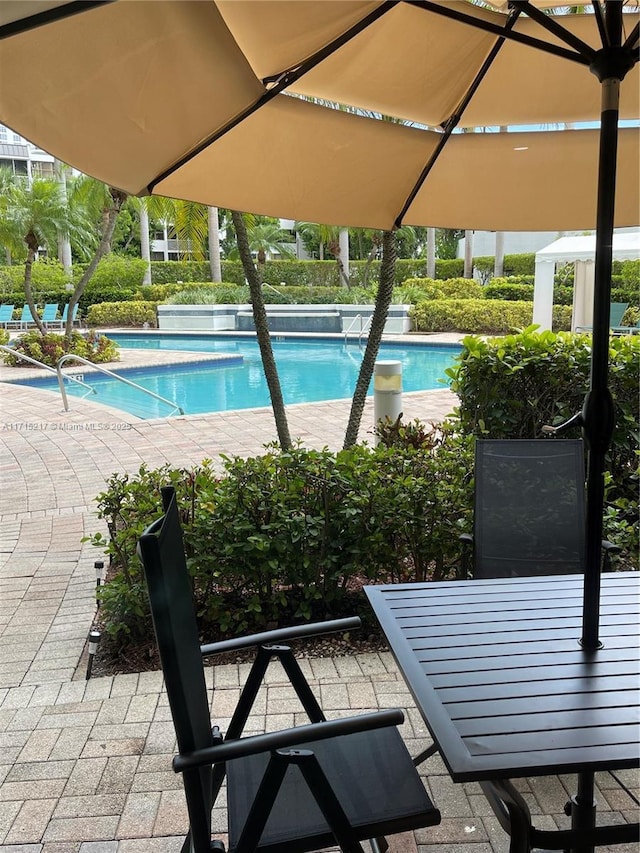 view of pool featuring a patio