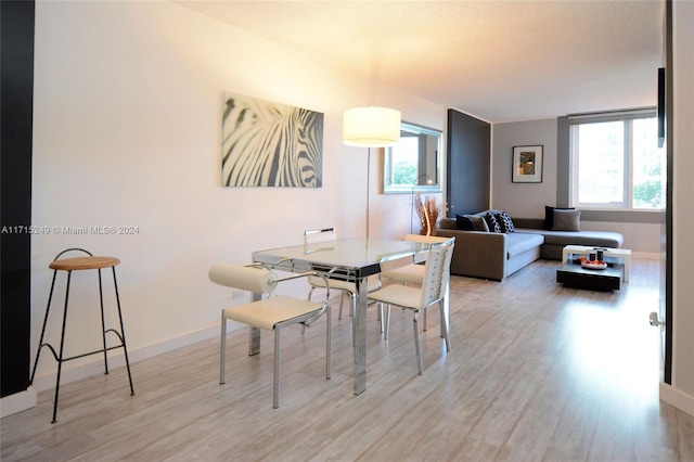 dining room with light hardwood / wood-style flooring