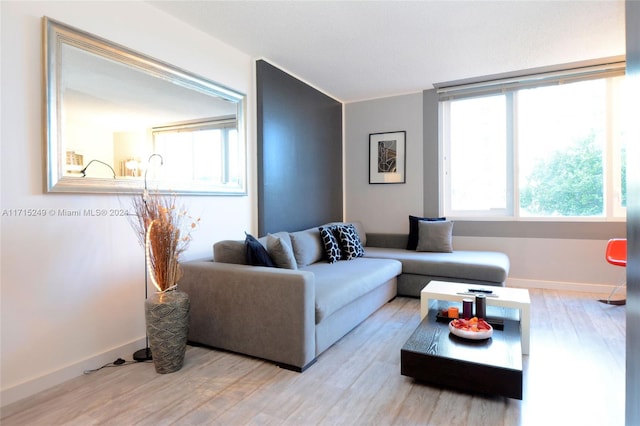 living room featuring light hardwood / wood-style flooring