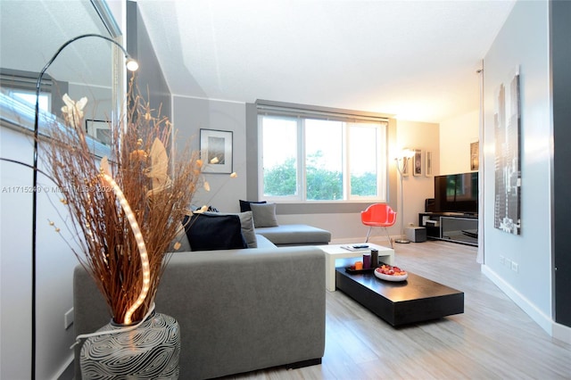 living room featuring wood-type flooring