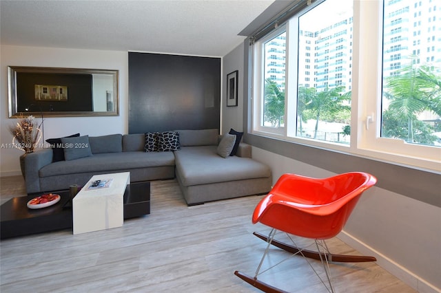 living room featuring light hardwood / wood-style flooring