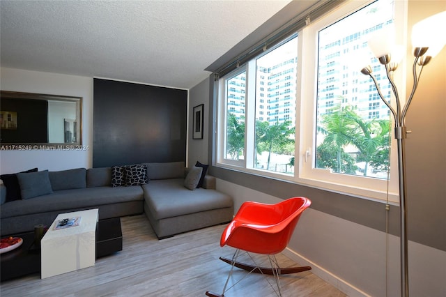 living room featuring a textured ceiling