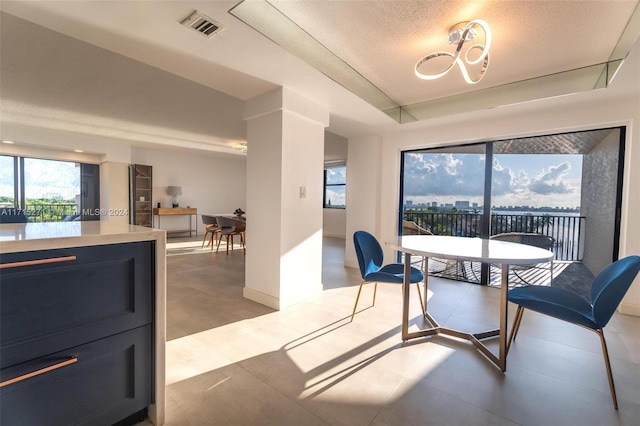 dining space with a textured ceiling and a tray ceiling