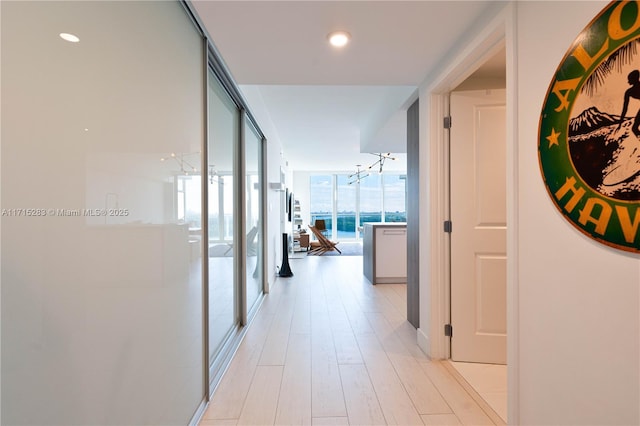 corridor featuring light hardwood / wood-style floors and a wall of windows