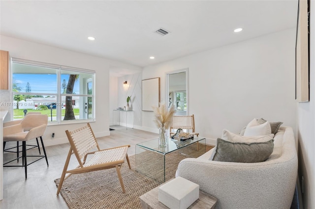 living room featuring light hardwood / wood-style floors and a wealth of natural light