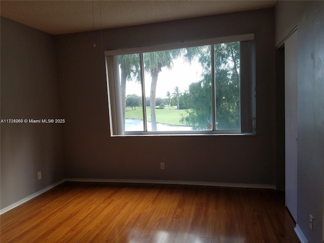 spare room featuring wood-type flooring