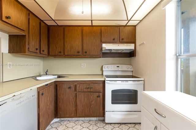 kitchen featuring a paneled ceiling, a healthy amount of sunlight, white appliances, and sink