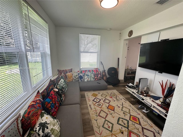 living room featuring hardwood / wood-style floors and a textured ceiling