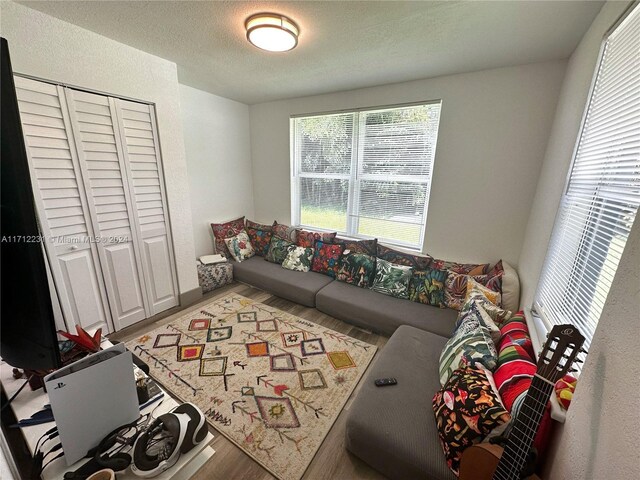 living room with wood-type flooring and a textured ceiling