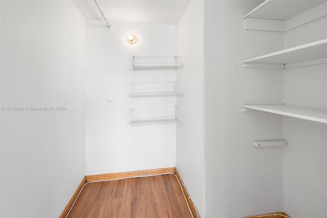 spacious closet with wood-type flooring