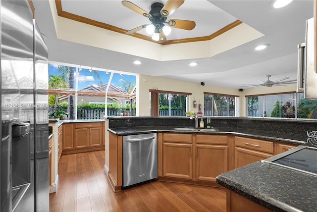 kitchen with a tray ceiling, plenty of natural light, stainless steel appliances, and ornamental molding