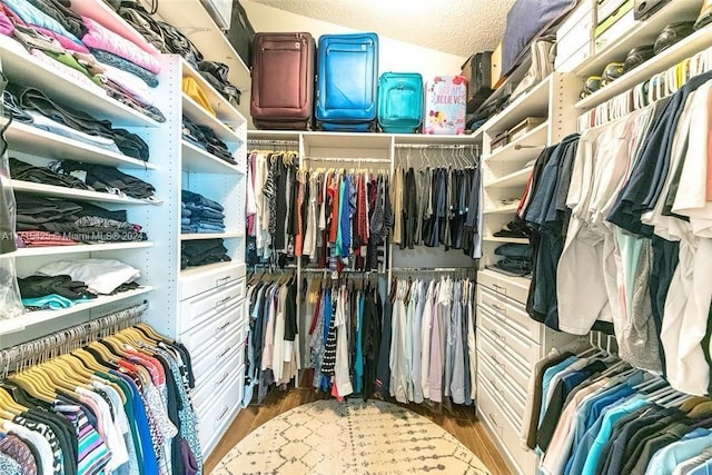 spacious closet featuring hardwood / wood-style floors