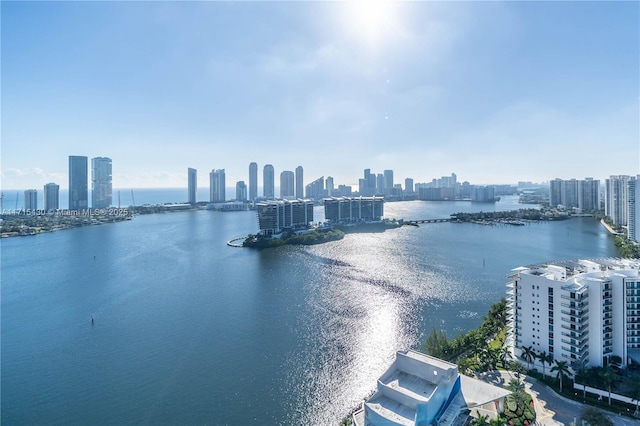 water view featuring a view of city