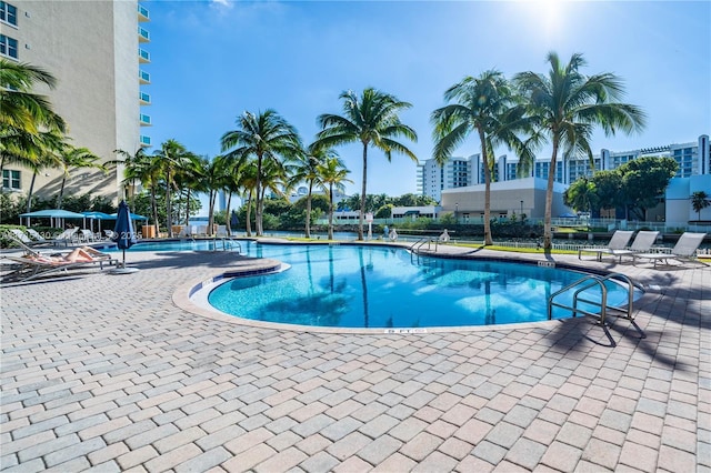 view of pool with a patio area