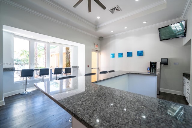 kitchen featuring white cabinetry, dark stone counters, ornamental molding, ceiling fan, and a tray ceiling