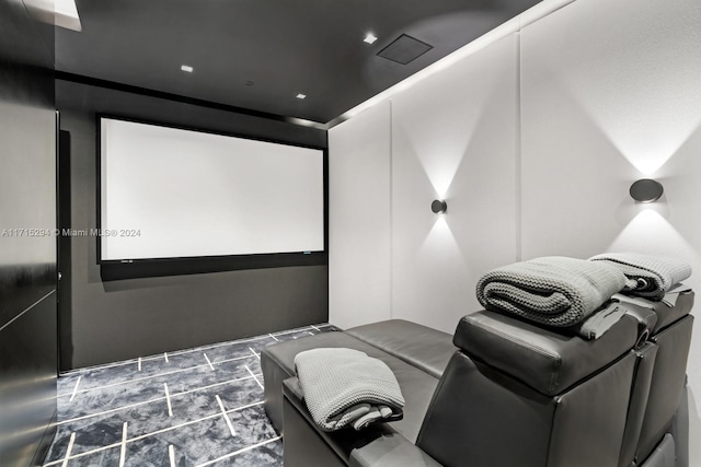 view of cinema room