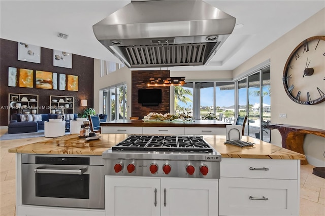 kitchen featuring white cabinetry, stainless steel appliances, a healthy amount of sunlight, and island exhaust hood