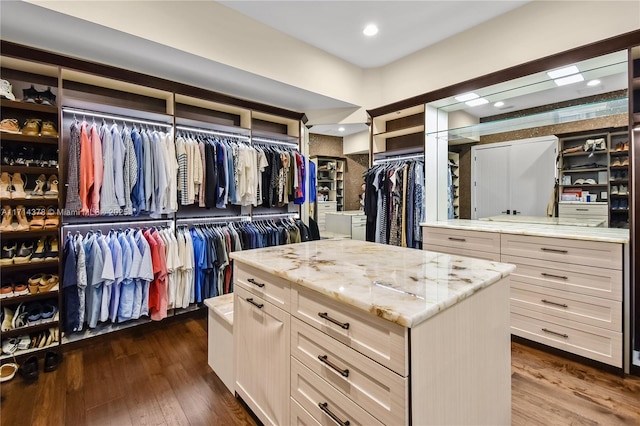 spacious closet with dark wood-type flooring