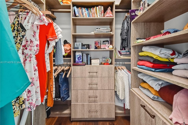 spacious closet featuring dark hardwood / wood-style flooring