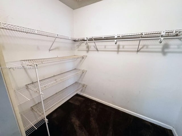 view of walk in closet