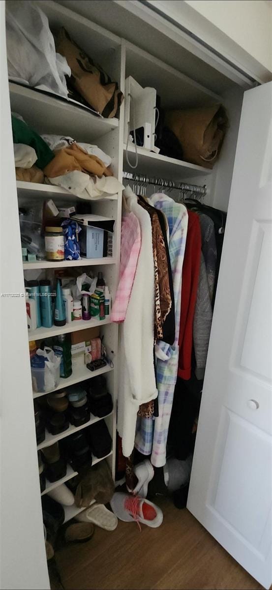 view of closet