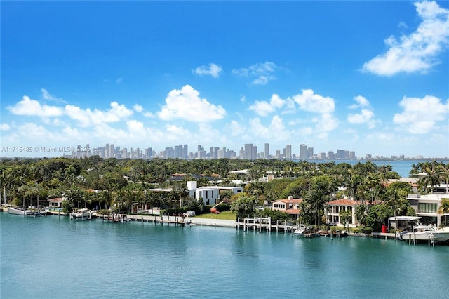 water view featuring a city view