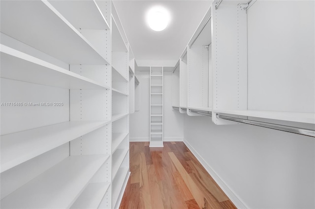 walk in closet featuring light wood-style floors