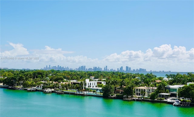 bird's eye view with a view of city and a water view