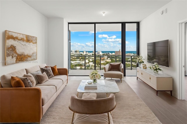 living room with hardwood / wood-style flooring and floor to ceiling windows