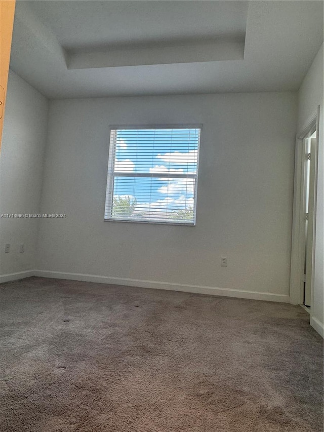 carpeted spare room featuring a raised ceiling