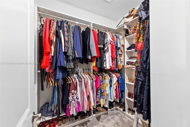 walk in closet featuring carpet flooring