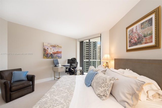 view of carpeted bedroom